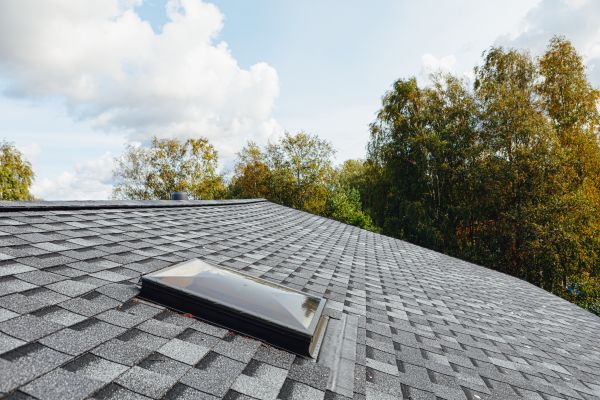 Roof Weatherproofing